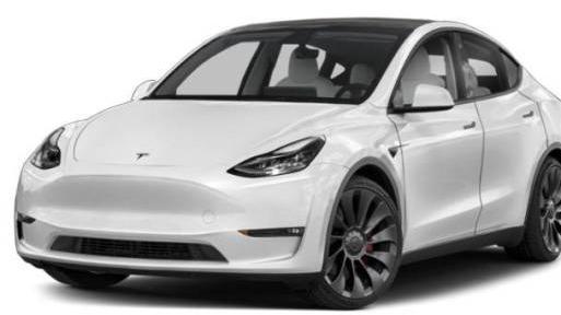 TESLA MODEL Y 2021 5YJYGDEE1MF173687 image